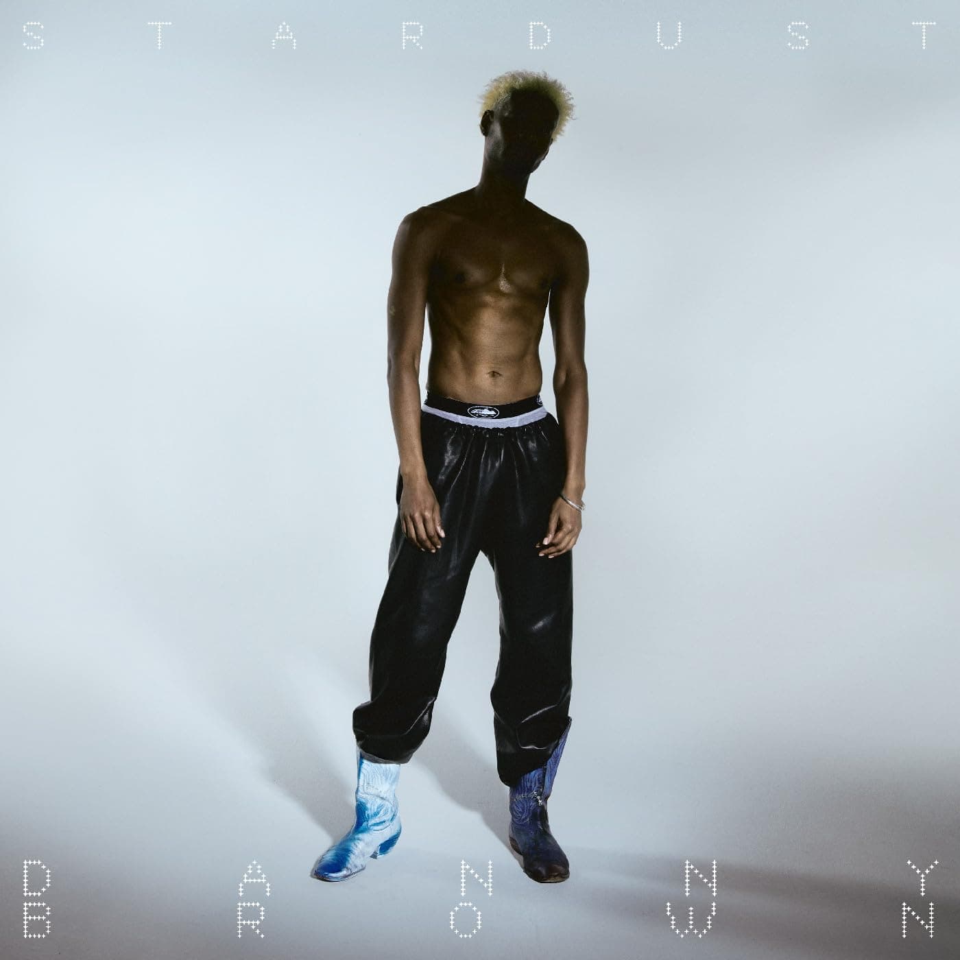 Stardust release photo