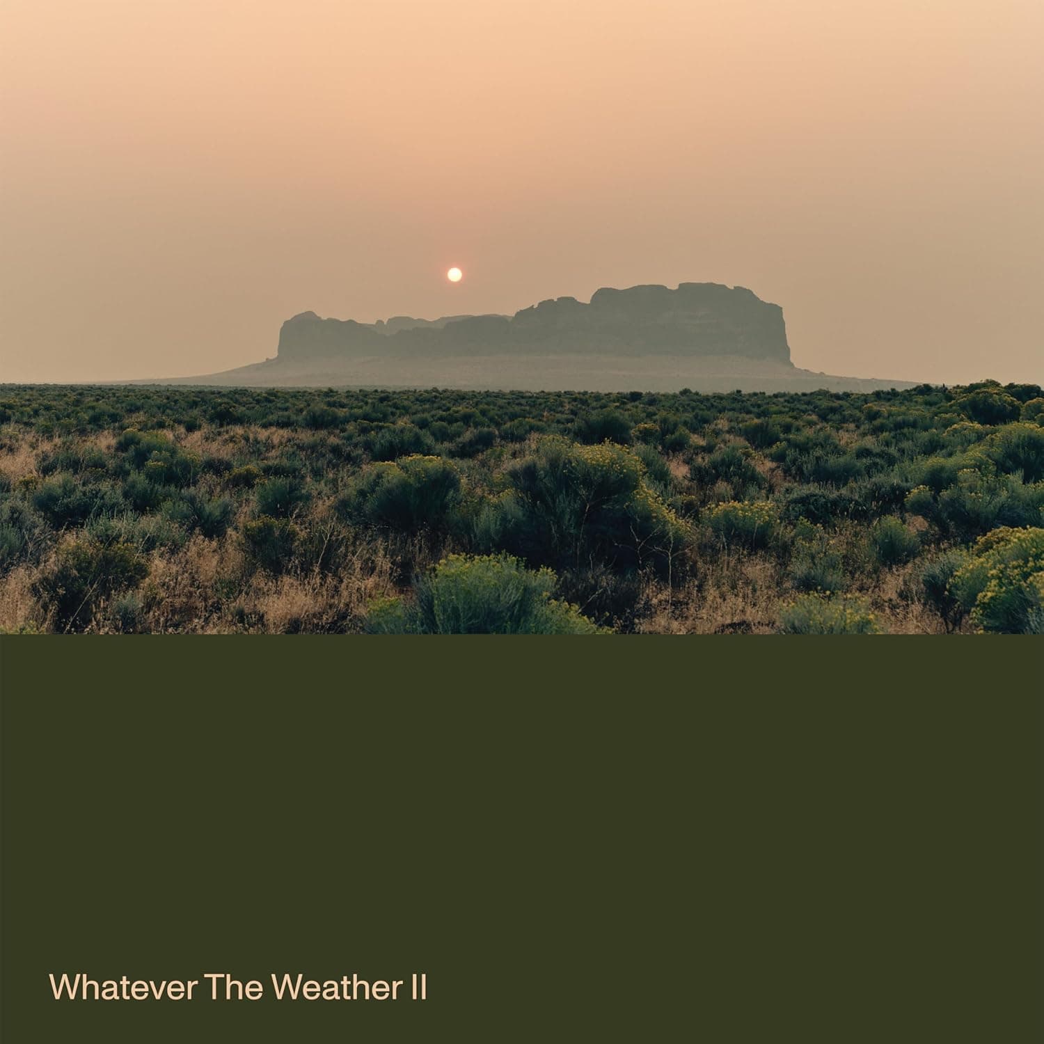 Whatever The Weather Ii release photo