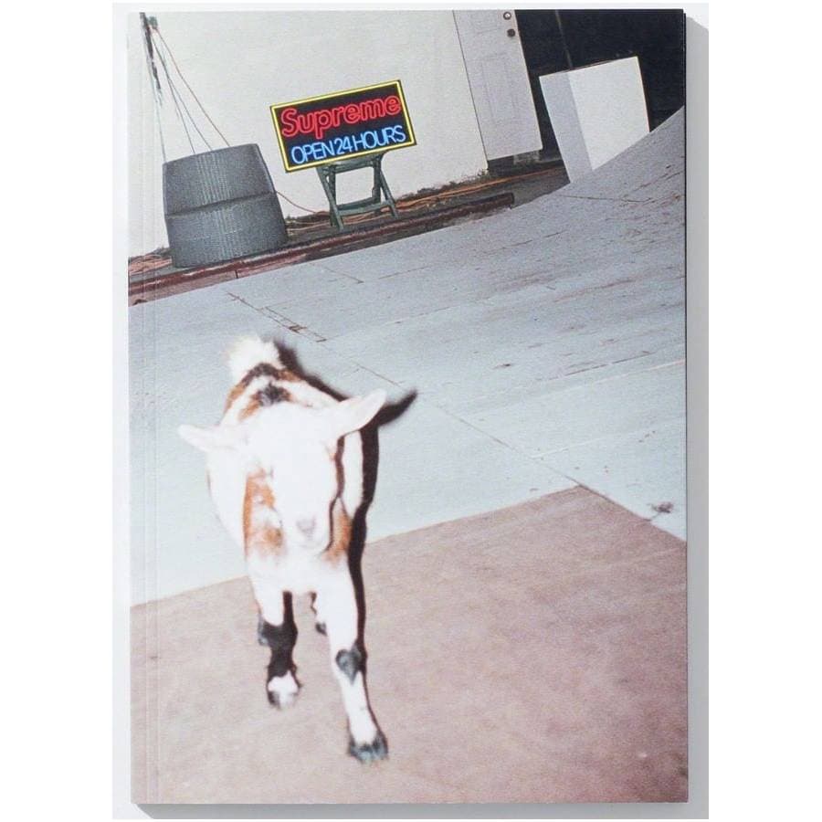 Sun Damage By Harmony Korine release photo 1