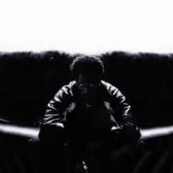 Timeless release photo