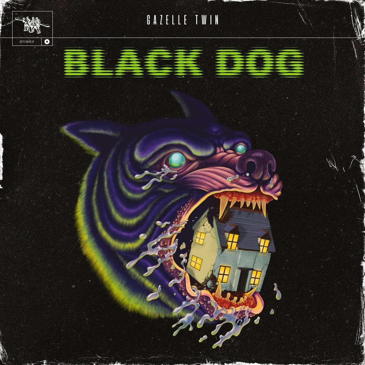 Black Dog release photo