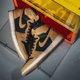 Air Jordan 1 High OG “Heirloom” release thumbnail 4
