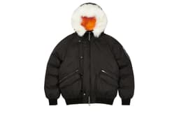 Palace P-2b Short Parka release thumbnail 1