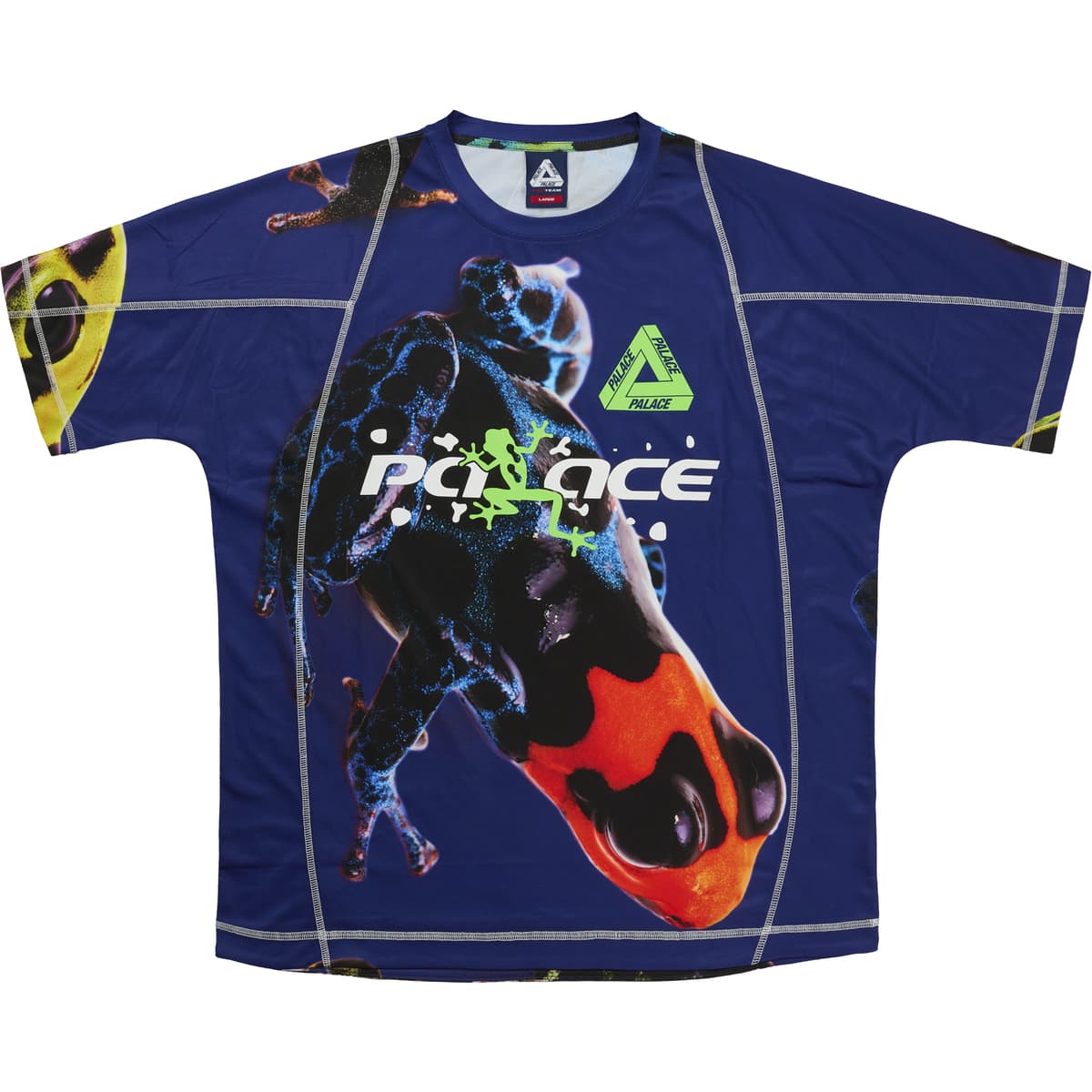 Frogger Tech Jersey Blue Frog release photo