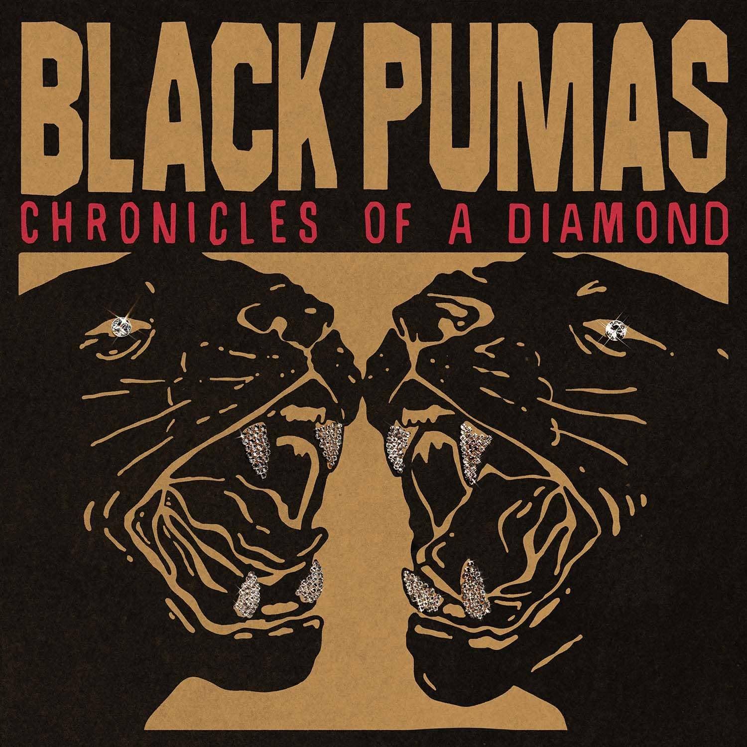 Chronicles Of A Diamond release photo