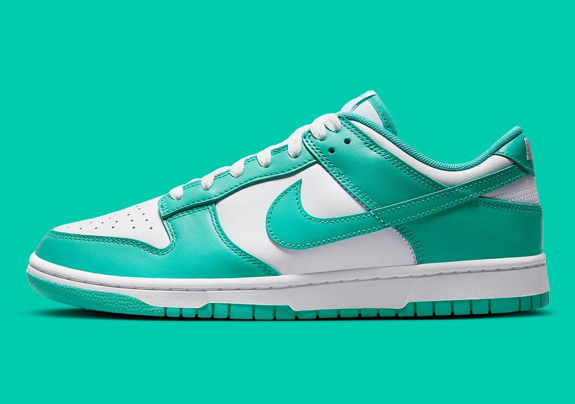 Nike Dunk Low Nike release photo