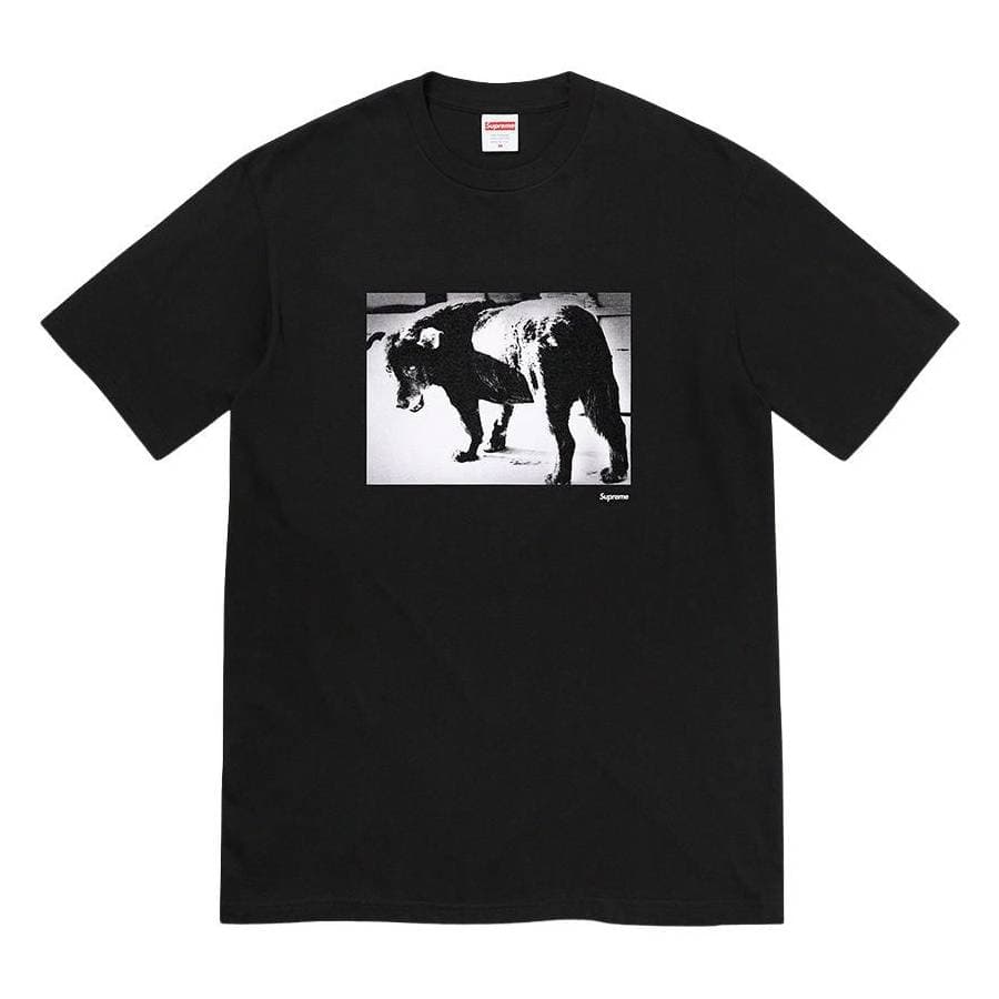 Daid? Moriyama Dog Tee release photo 1
