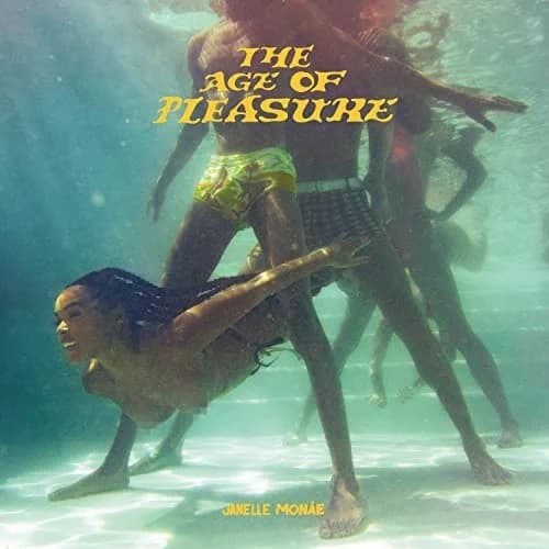 The Age Of Pleasure release photo