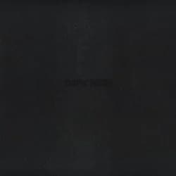 Dark Times release photo