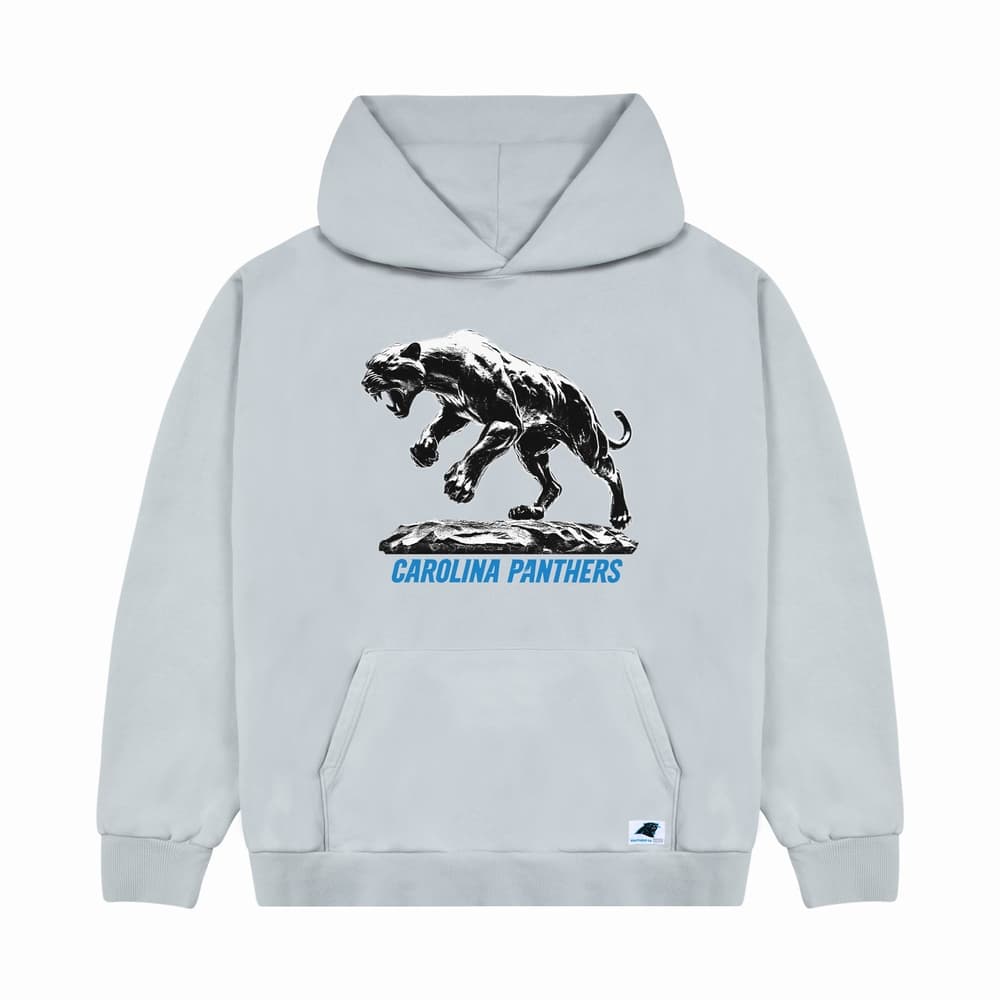 Panthers Cutout Hoodie release photo 1