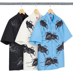 Supreme Beetle S/S Shirt release thumbnail 1