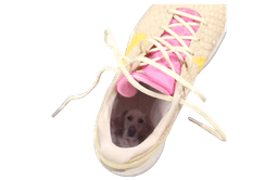 Caitlin Clark x Nike Kobe 6 Bella PE release thumbnail 2