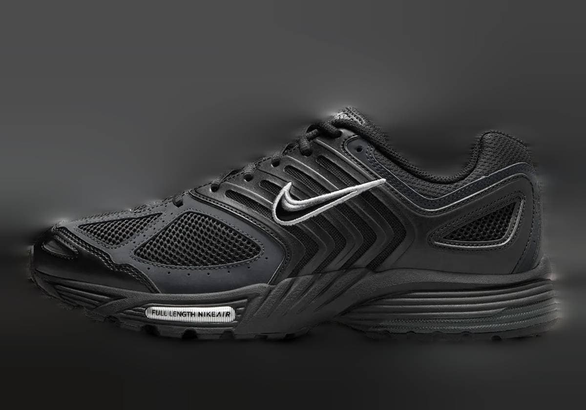 Nike Air Pegasus 2K5 Black / Metallic Silver Nike release photo