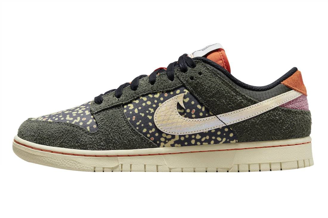 Nike Dunk Low Rainbow Trout Nike release photo