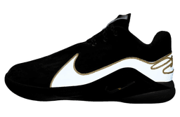 Nike LeBron 22 Mogul release thumbnail 3