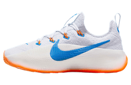 Nike Lebron TR 1 Pure Platinum / Photo Blue release thumbnail 1