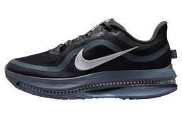 Nike Pegasus Premium Anthracite / Ashen Slate release thumbnail 1