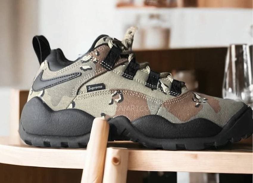 Supreme x Nike SB Darwin Low Camo Nike release photo
