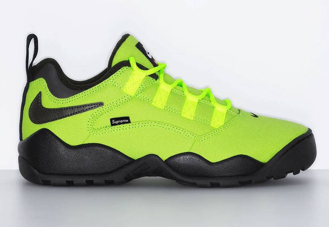 Supreme x Nike SB Darwin Low Volt Nike release photo
