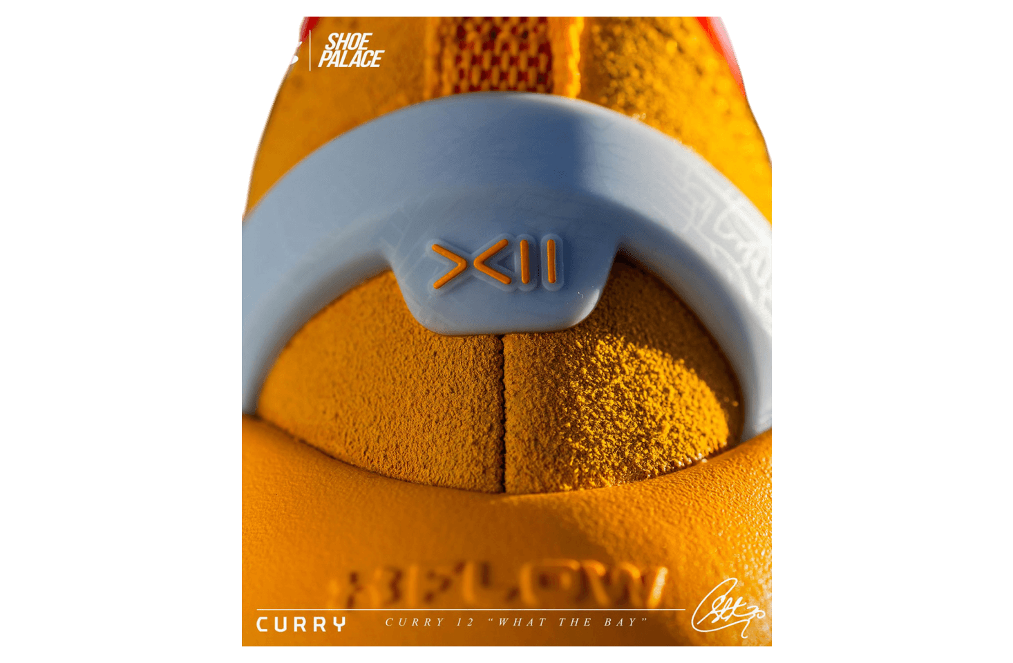 Under Armour Curry 12 What The Bay release photo 4