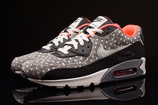AIR MAX 90 LTR PREMIUM release photo