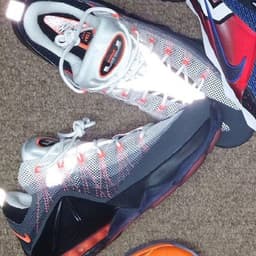 Nike Air Max 95 LeBron 12 Low QS release thumbnail 1