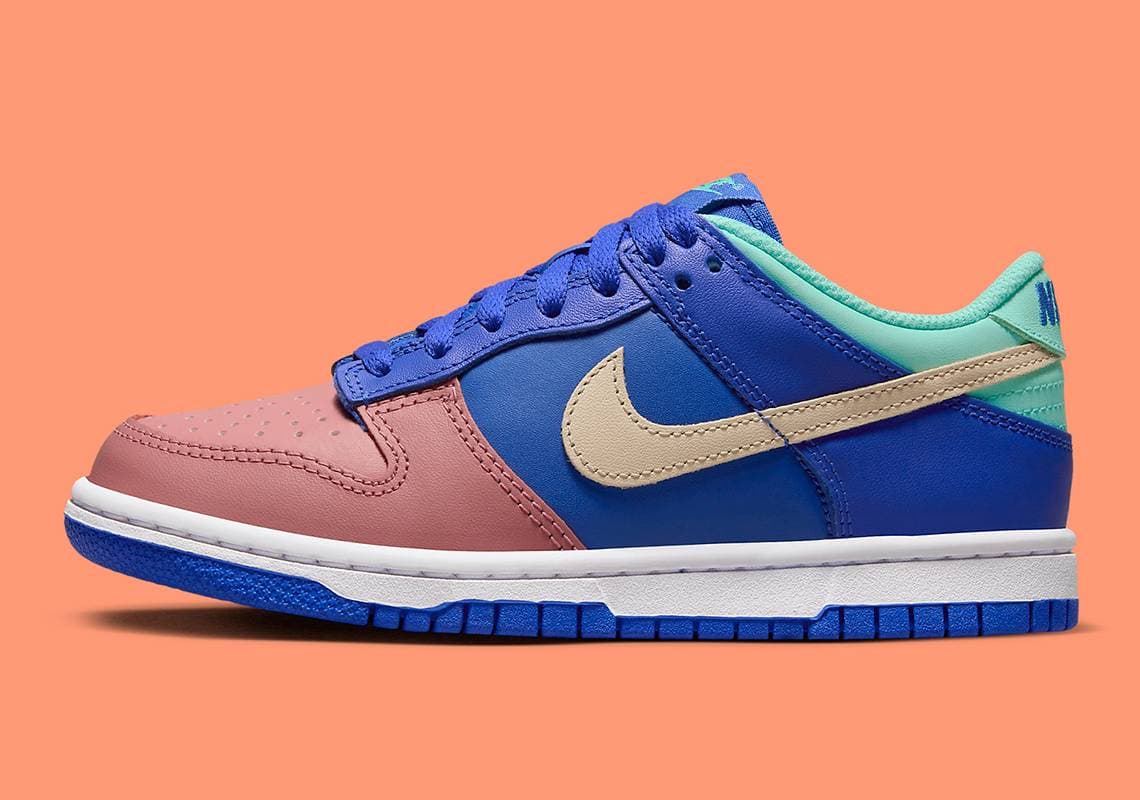 Nike Dunk Low Nike release photo