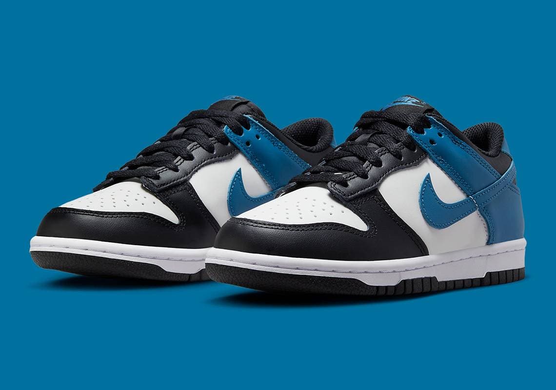 Nike Dunk Low Nike release photo