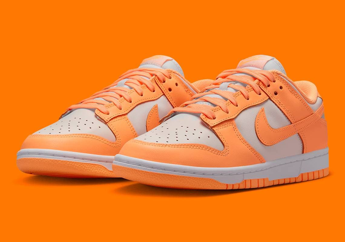 Nike Dunk Low Nike release photo