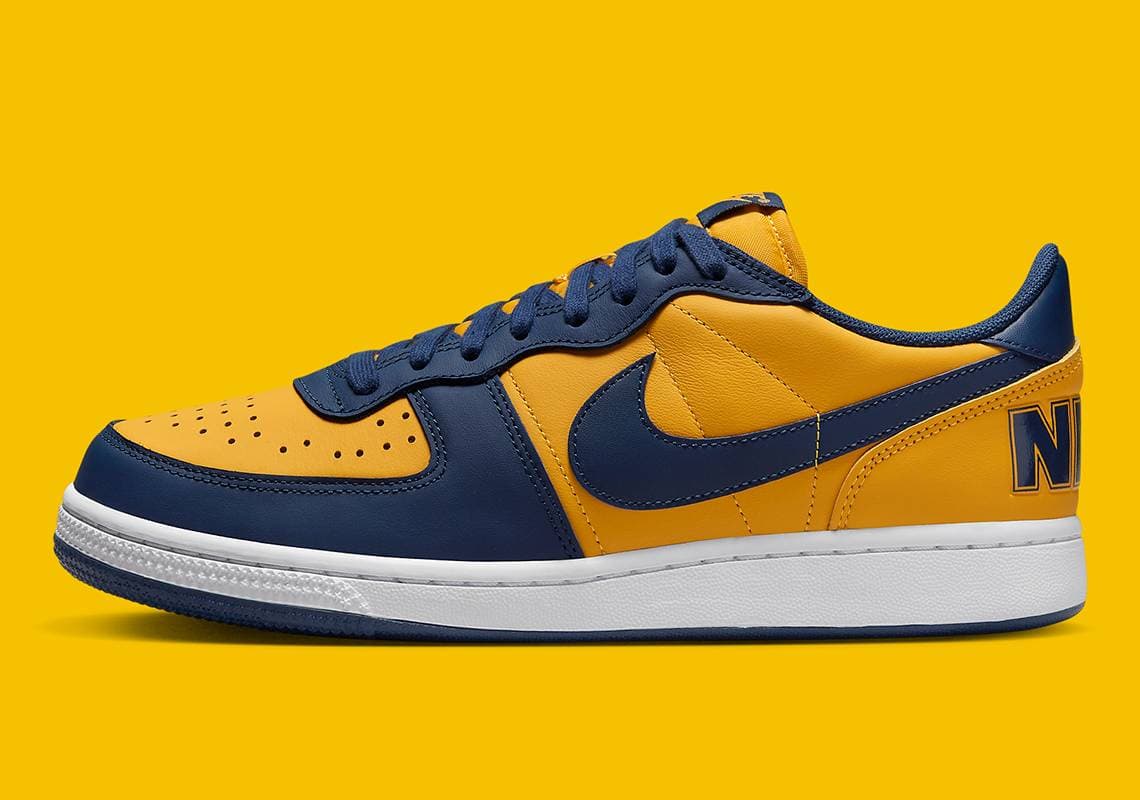 Nike Terminator Low OG Nike release photo