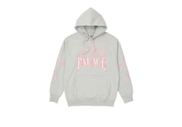 PALACE LIGHTNING SPEED HOOD release thumbnail 3