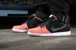 Premier x Nike SB Dunk Low release thumbnail 1