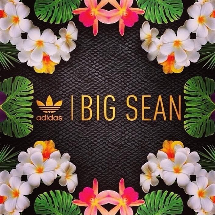 Big Sean X adidas Metro Attitude release photo 8