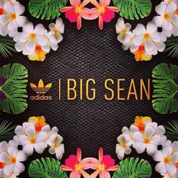 Big Sean X adidas Metro Attitude release thumbnail 8