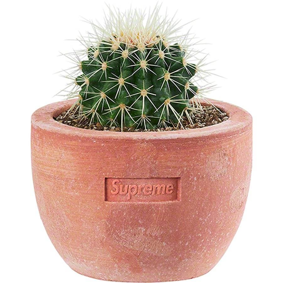 Supreme®/poggi Ugo Small Planter release photo 1