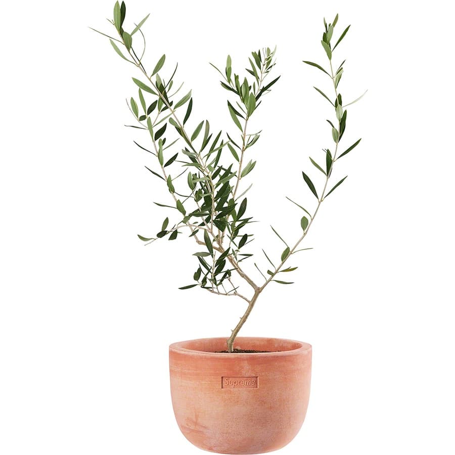 Supreme®/poggi Ugo Large Planter release photo 1