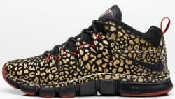 Nike Free Trainer 7.0 Nike release photo