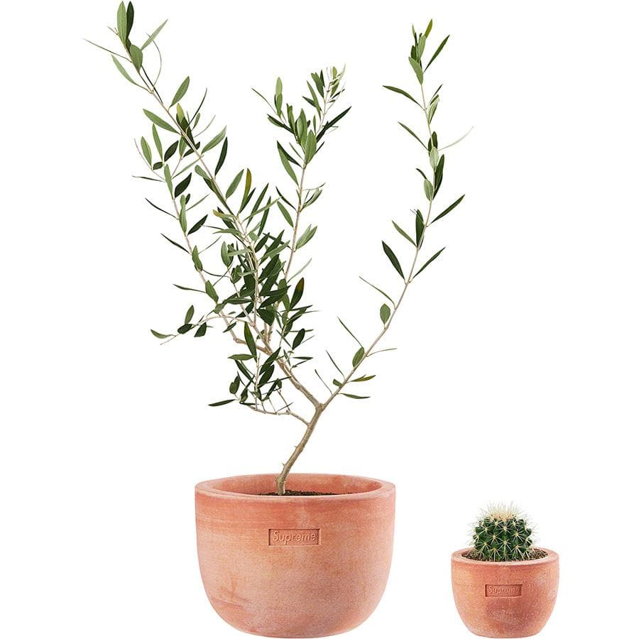 Supreme®/poggi Ugo Small And Large Planters release photo 1