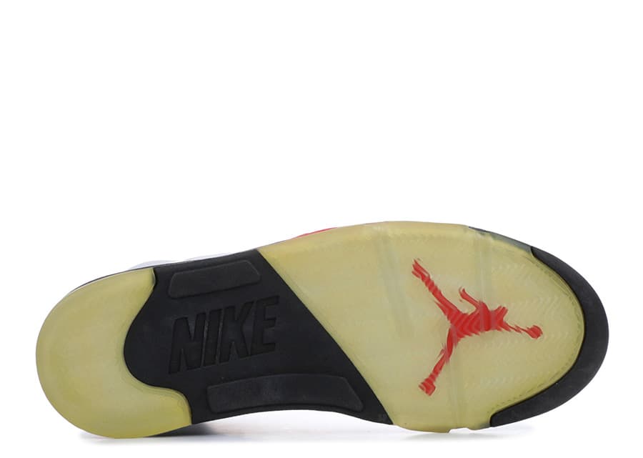 Air Jordan 5 release photo 4