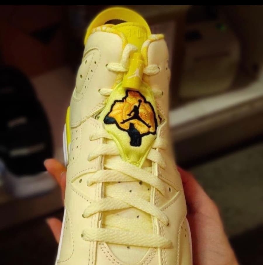 Air Jordan 6 GS release photo 14