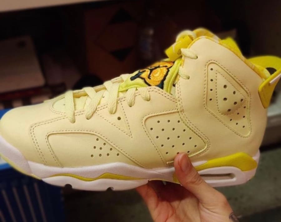 Air Jordan 6 GS release photo 13