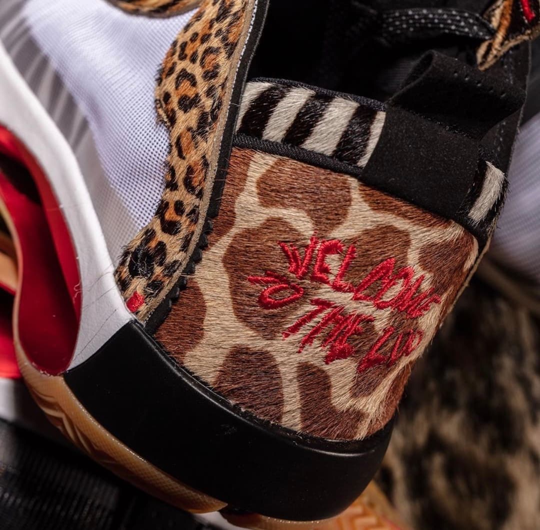 Jayson Tatum x Air Jordan 34 “Welcome to the Zoo” release photo 3