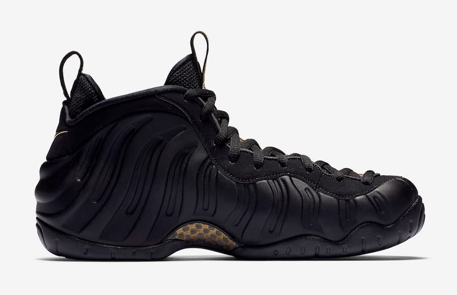 Nike Air Foamposite Pro release photo 3