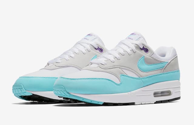 Nike Air Max 1 Anniversary Nike release photo