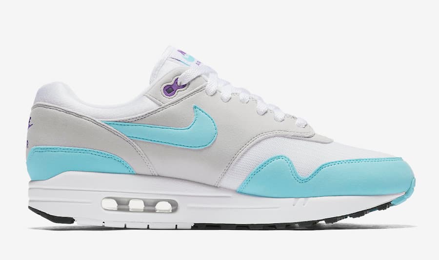 Nike Air Max 1 Anniversary release photo 3