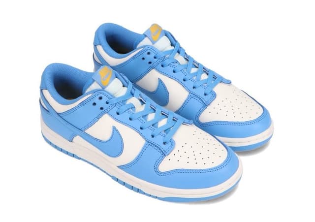 Nike Dunk Low “Coast” Nike release photo