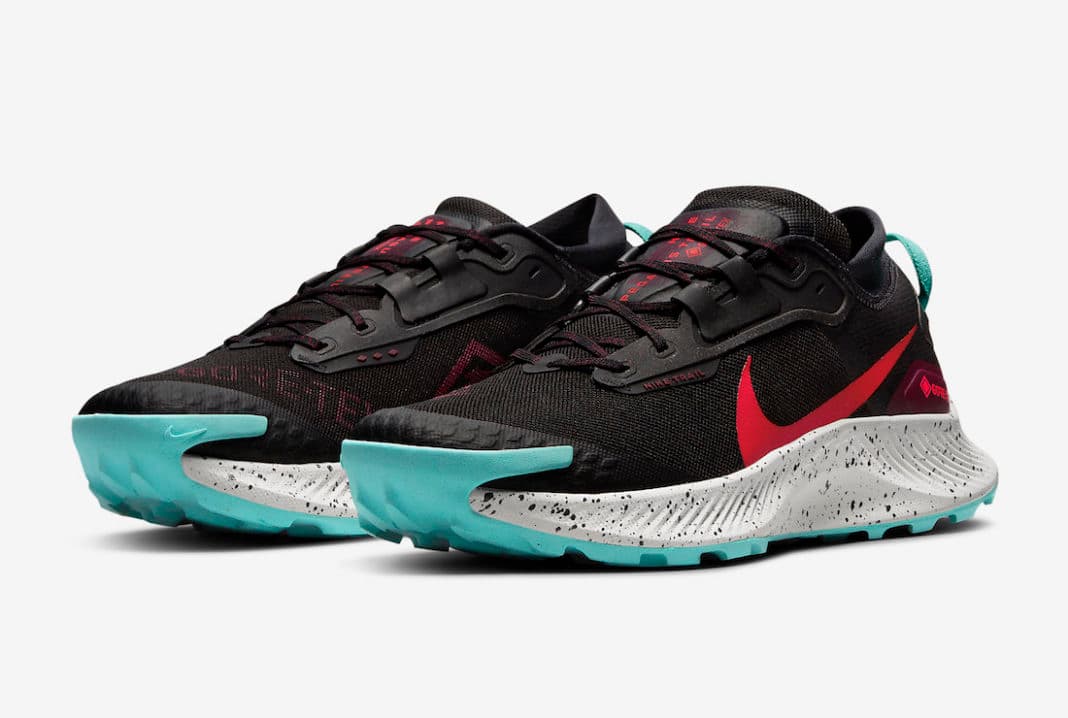 Nike Pegasus Trail 3 Gore-Tex Nike release photo