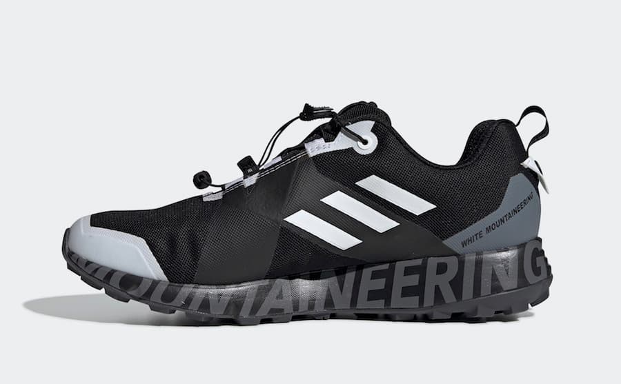 White Mountaineering x adidas Terrex TWO GTX release photo 2