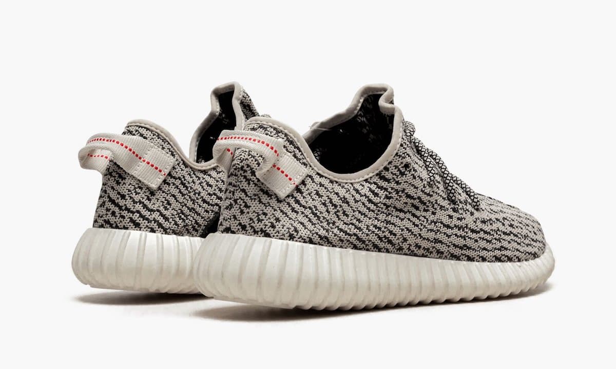 adidas Yeezy Boost 350 “Turtle Dove” release photo 5