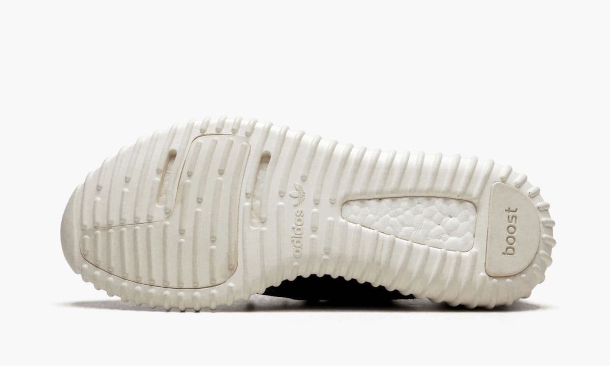 adidas Yeezy Boost 350 “Turtle Dove” release photo 6